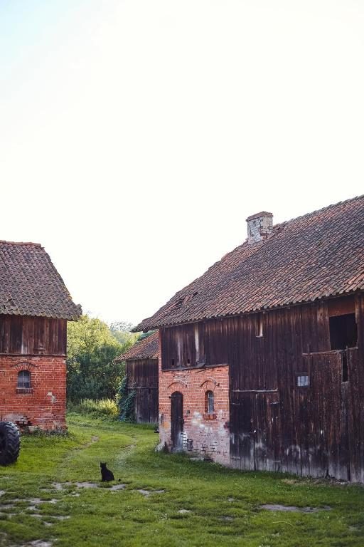 Kwiaty w ogrodzie