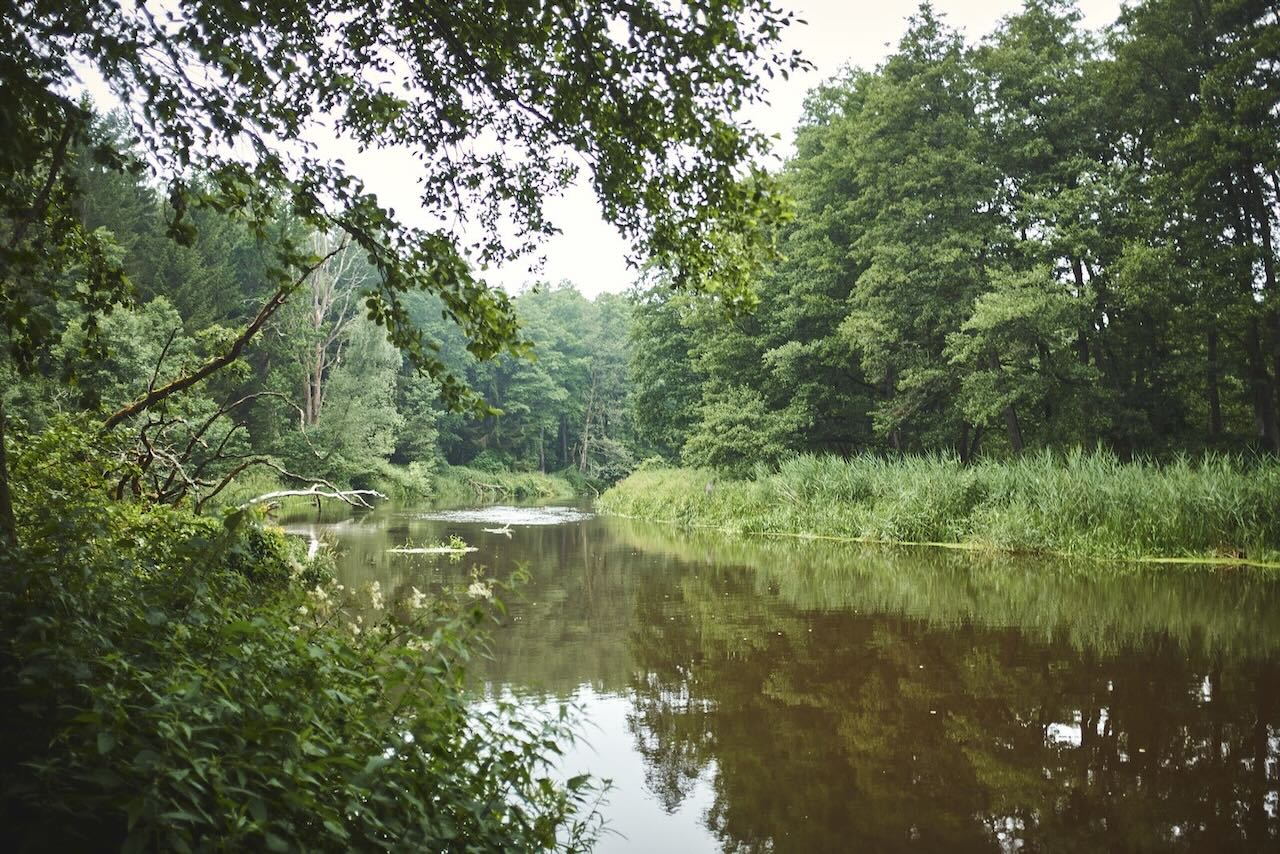 Rzeka Pasłęka